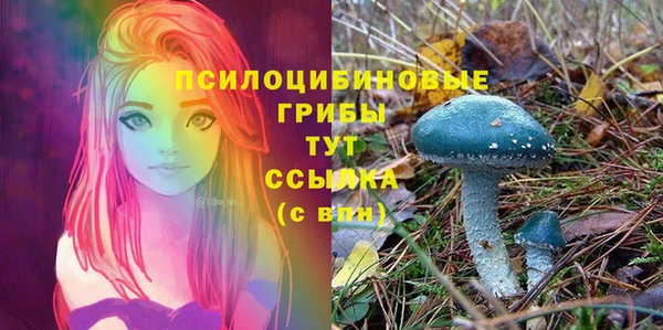 кристаллы Гусев