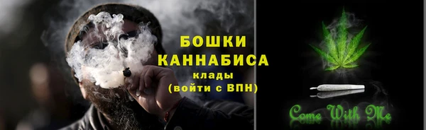 бошки Гусиноозёрск