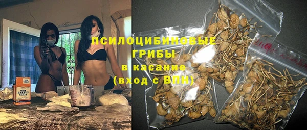 ПСИЛОЦИБИНОВЫЕ ГРИБЫ Гусь-Хрустальный
