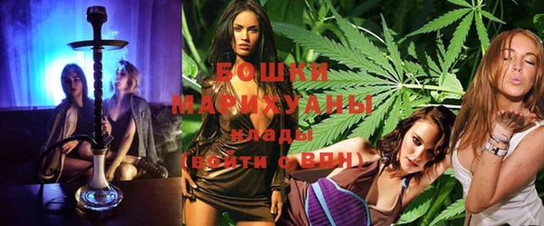 ПСИЛОЦИБИНОВЫЕ ГРИБЫ Гусь-Хрустальный