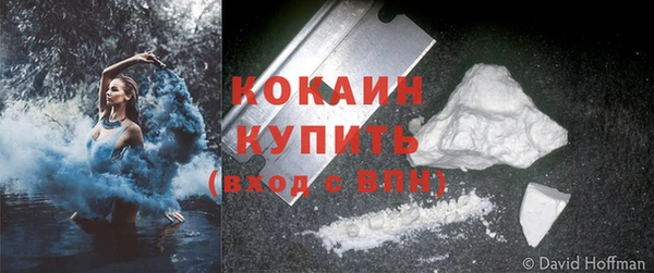 ПСИЛОЦИБИНОВЫЕ ГРИБЫ Гусь-Хрустальный