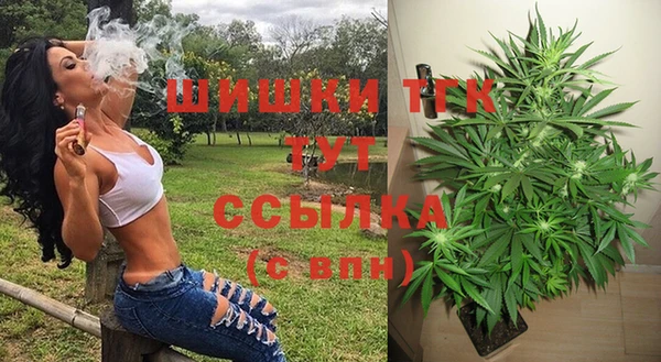 ПСИЛОЦИБИНОВЫЕ ГРИБЫ Гусь-Хрустальный
