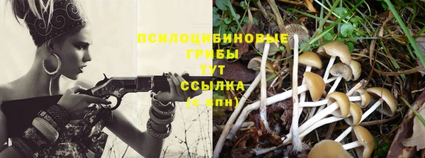 МДМА Горнозаводск
