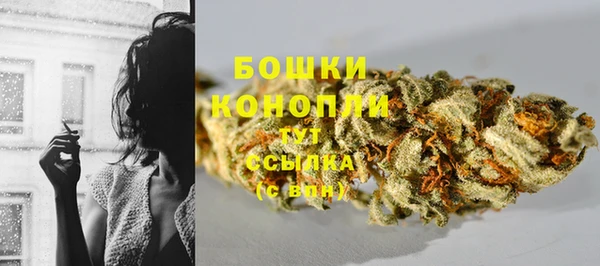 ПСИЛОЦИБИНОВЫЕ ГРИБЫ Гусь-Хрустальный