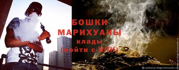 ПСИЛОЦИБИНОВЫЕ ГРИБЫ Гусь-Хрустальный
