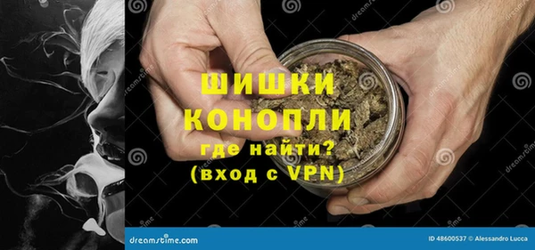 ПСИЛОЦИБИНОВЫЕ ГРИБЫ Гусь-Хрустальный