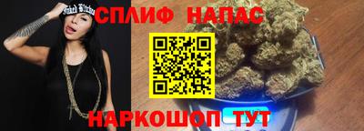 бошки Камышлов