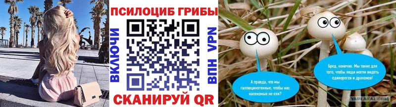 hydra продажа наркотиков Сегежа Псилоцибиновые грибы ЛСД