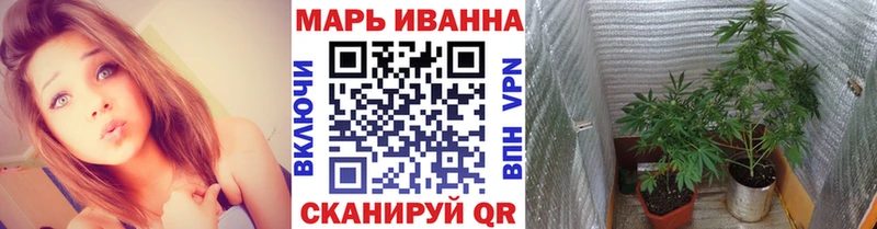 даркнет телеграм  Сегежа  Шишки марихуана гибрид 